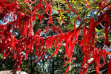 青春不虚度 舞出新花样 《舞力全开》国行版头像挑战赛现已开启