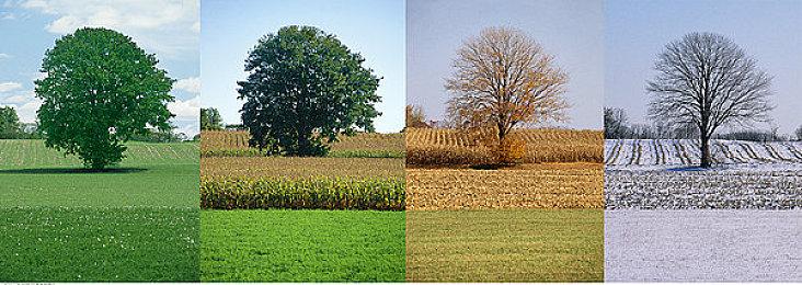 PvE型卡牌游戏《One Turn Kill》Steam页面上线 明年发售